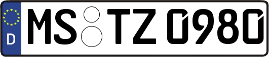 MS-TZ0980