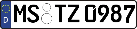 MS-TZ0987