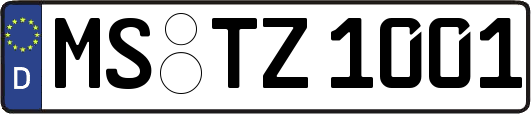 MS-TZ1001