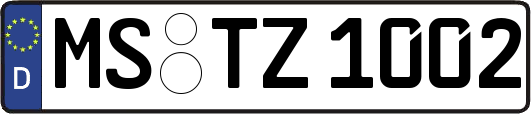 MS-TZ1002