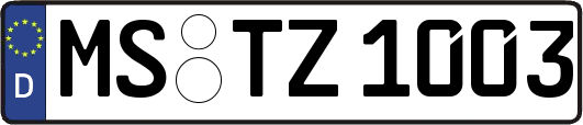 MS-TZ1003