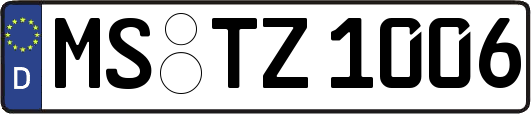MS-TZ1006