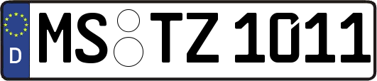 MS-TZ1011