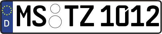 MS-TZ1012