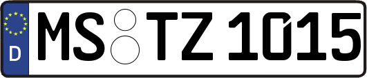 MS-TZ1015