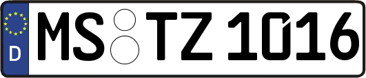 MS-TZ1016