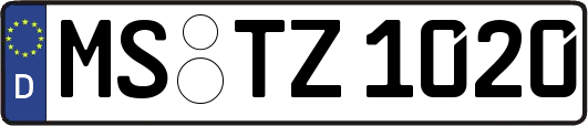 MS-TZ1020