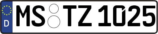 MS-TZ1025