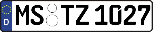 MS-TZ1027