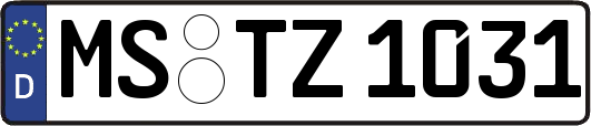 MS-TZ1031