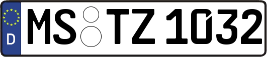 MS-TZ1032