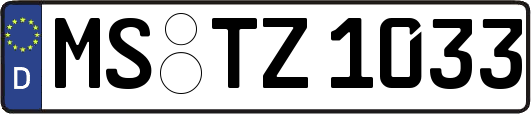MS-TZ1033