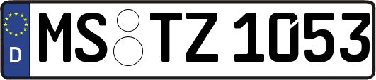 MS-TZ1053