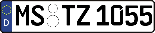 MS-TZ1055