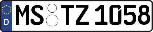 MS-TZ1058