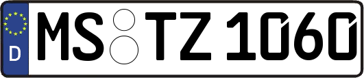 MS-TZ1060