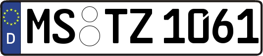 MS-TZ1061