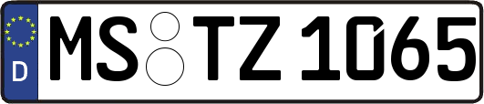 MS-TZ1065