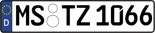 MS-TZ1066