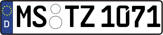 MS-TZ1071