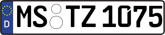 MS-TZ1075