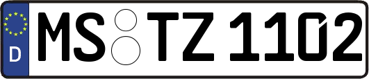 MS-TZ1102
