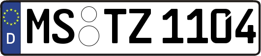 MS-TZ1104