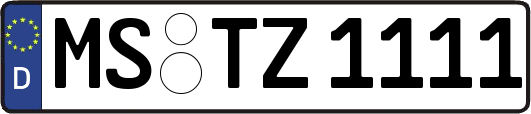 MS-TZ1111