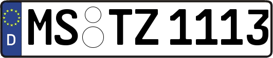 MS-TZ1113