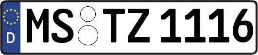 MS-TZ1116