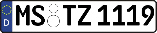 MS-TZ1119