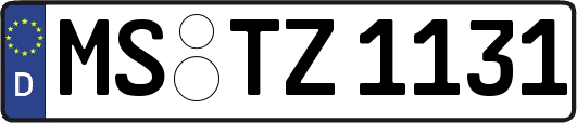 MS-TZ1131