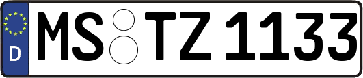 MS-TZ1133