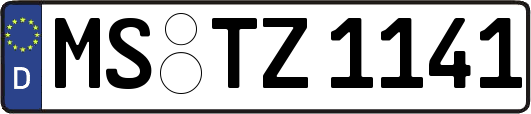 MS-TZ1141