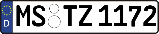 MS-TZ1172