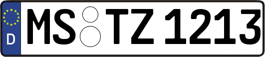 MS-TZ1213