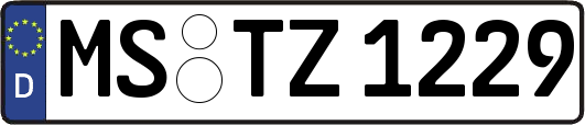 MS-TZ1229