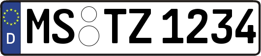 MS-TZ1234