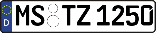 MS-TZ1250