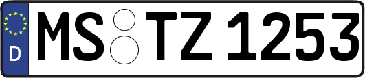 MS-TZ1253