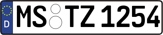 MS-TZ1254