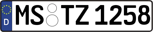 MS-TZ1258
