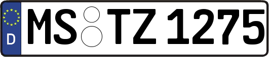 MS-TZ1275