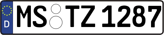 MS-TZ1287