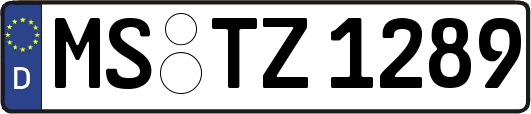MS-TZ1289