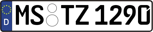 MS-TZ1290