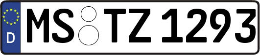 MS-TZ1293