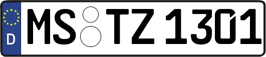 MS-TZ1301
