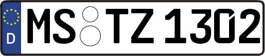 MS-TZ1302