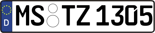 MS-TZ1305